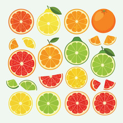Obraz premium Colorful illustrated citrus fruits in a bright, vector-style arrangement