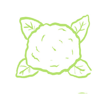 cauliflower vegetable, hand drawn green crayon wax, doodle element, organic food icon, rough texture sketch, healthy vegan