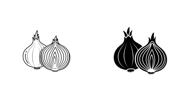 Black and white onion illustrations a culinary and botanical depiction of allium cepa