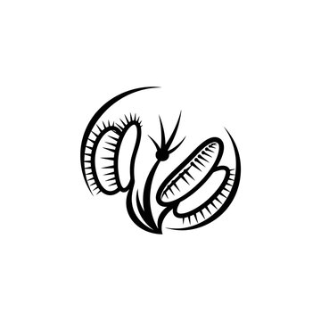 Black and white venus flytrap logo, isolated on white background