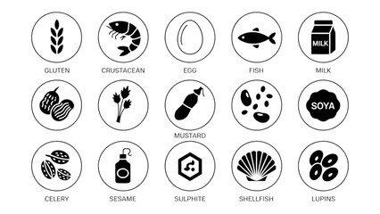 Collection of diverse icons representing various musical instruments and symbols Vector © AZIFA