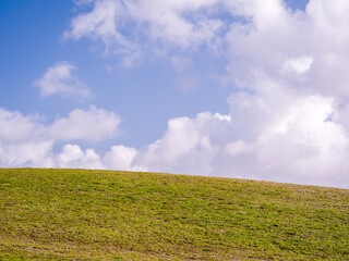 Naklejka premium Empty green grassy hill slope under a vast blue sky filled with white clouds on a bright summer day.