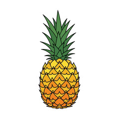 Obraz premium Vibrant pineapple illustration with lush green leaves