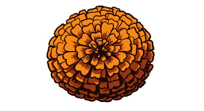 Pine Cone Illustration with Orange Brown Scales.
