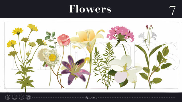 Botanical illustration displaying a colorful assortment of various flower specimens