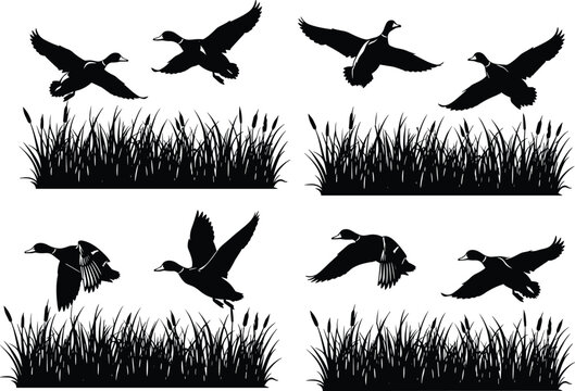 Flying ducks silhouette vector set with grass reeds, wild birds in motion, black nature illustration isolated on light background
