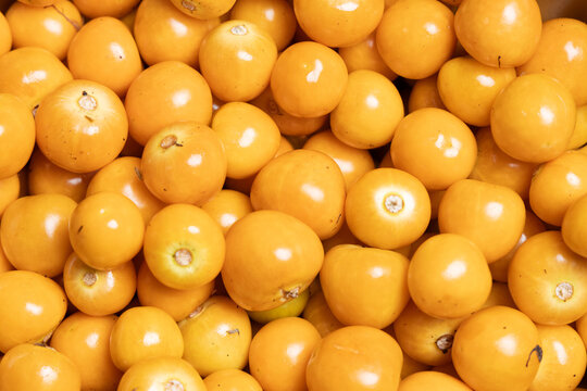 Physalis peruviana; Uchuva Delicious Tropical Fruit