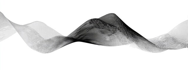 Obraz premium A black and white flowing fabric ribbon with textured, organic movement against a white background