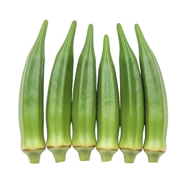 Fresh green okra pods arranged vertically on white background for cooking and healthy food