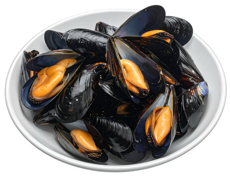 Steaming, open mussel shells revealing succulent, bright orange meat