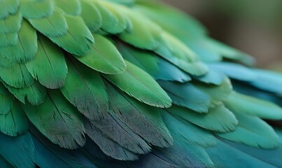 Obraz premium feathers, bright green shades, nature photography style