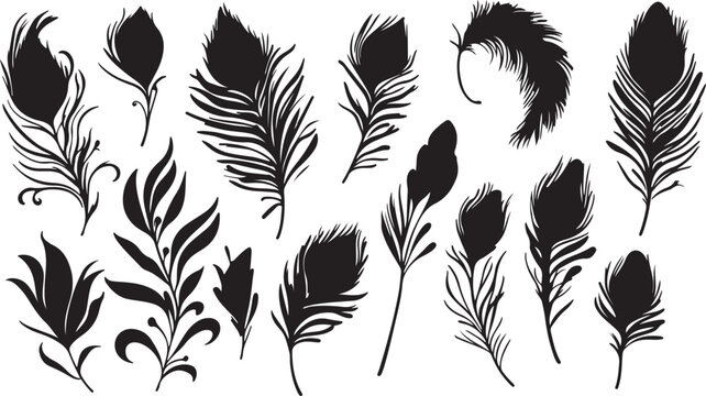 Seamless black and white floral feather vector pattern design with vintage nature inspired decorative elements and wallpaper texture style illustration