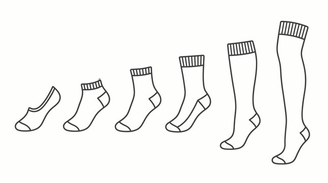Collection of various sock types in a linear arrangement.