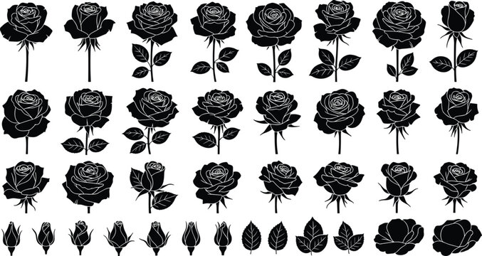 Extensive collection of rose silhouettes with stems, leaves and buds, floral vector set for romantic design, botanical illustration, and decoration