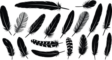 Collection of feather silhouettes in various shapes and textures, bird plumage vector set for decoration, nature design, and artistic illustration © MSTMONIRA