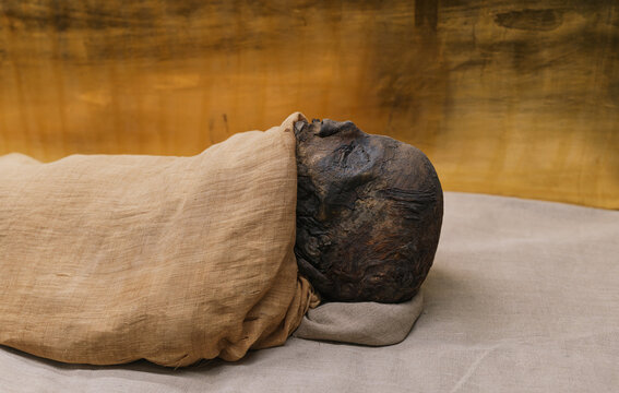 Mummified Pharaoh from Ancient Egypt