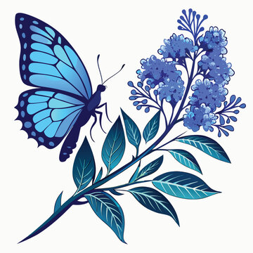 adonis blue butterfly bush flower