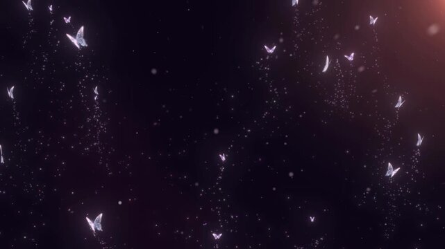 Glowing white butterflies and sparkles flying in the dark space with a bright light shining from the top right corner of the frame