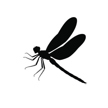 Silhouette of a dragonfly in flight against a white background