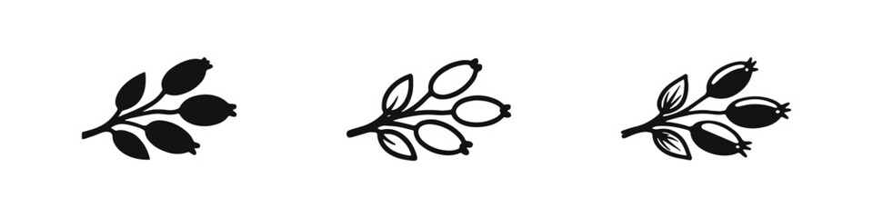 Rose Hip Berry Branch Icon Set in Different Styles © drawing lines