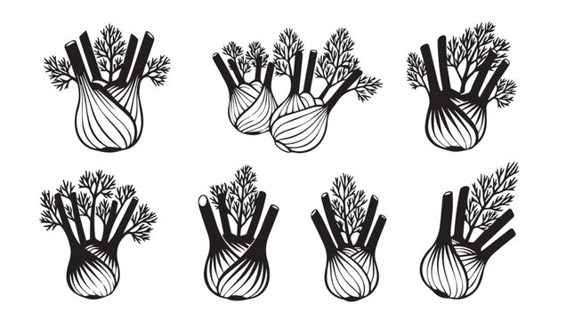 Fennel bulbs with feathery fronds arranged in a repeating pattern for culinary design