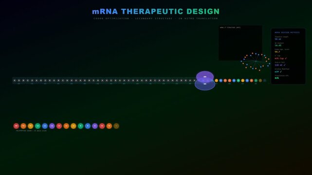 Advanced AI Drug Discovery visualizes the complex process of mRNA therapeutic design optimization, predicting secondary structure, and enhancing translation to polypeptide synthesis.