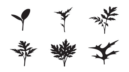 Fototapeta premium Plant growth stages silhouette set with clear copy space for design