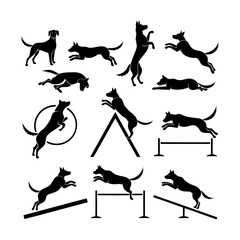 Fototapeta premium set of dogs silhouettes