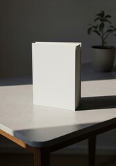 Fototapeta premium White Rectangular Block on Tabletop with Indoor Plant in Background