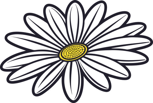 Fresh Daisy Flower Bloom Collection. White Daisy Flower Natural Arrangement. Spring Daisy Flower Blossom Set. Wild Daisy Flower Garden Elements. Simple Daisy Flower Floral Collection. Daisy Flower Pet
