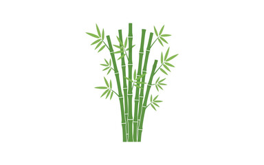 Obraz premium Green bamboo stalks with leaves on white background