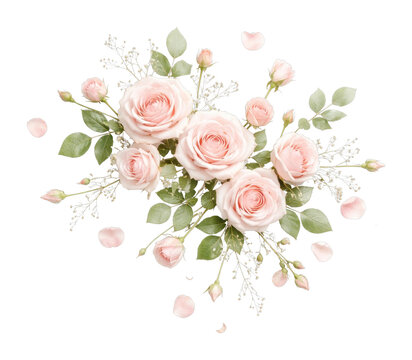 Elegant pink roses with leaves
