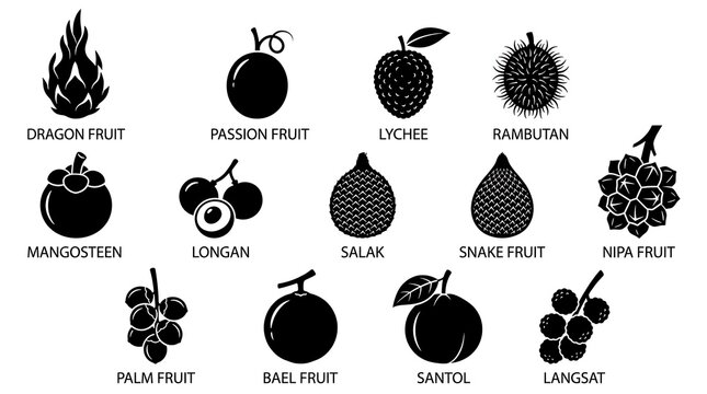 Tropical exotic fruits icons collection.