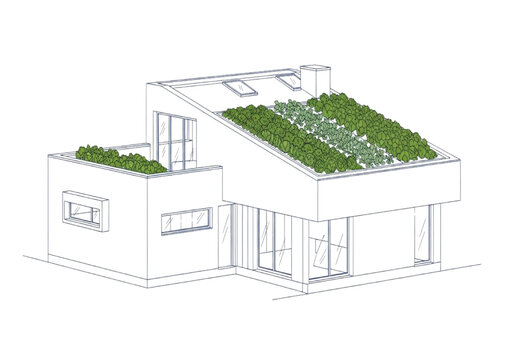 Modern home with green roof and rooftop garden, sustainable architecture concept