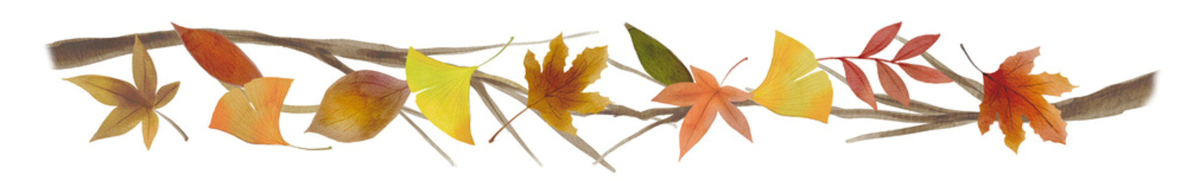 Watercolor Autumn Leaves Border Frame with Fallen Leaves and Branches on Transparent PNG Background300dpi