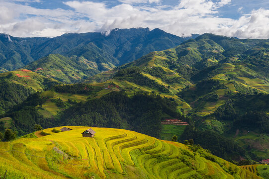 Natural and urban views of Vietnam