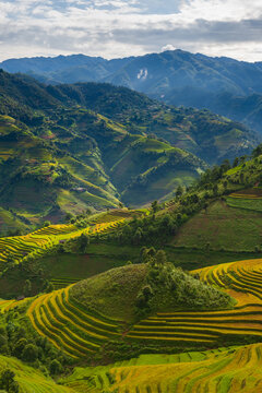 Natural and urban views of Vietnam