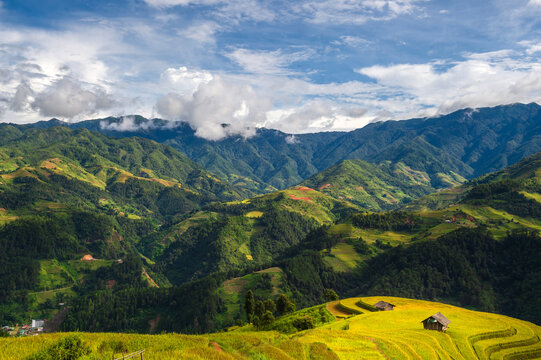 Natural and urban views of Vietnam