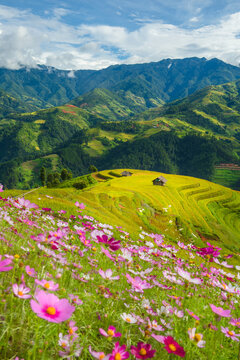 Natural and urban views of Vietnam