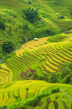 Natural and urban views of Vietnam