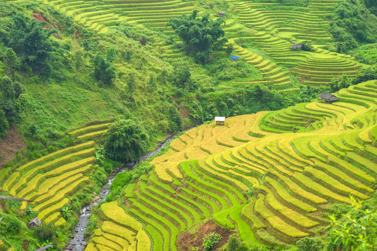Natural and urban views of Vietnam