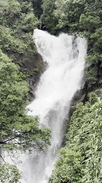 Water falls, Kudremukh National Park