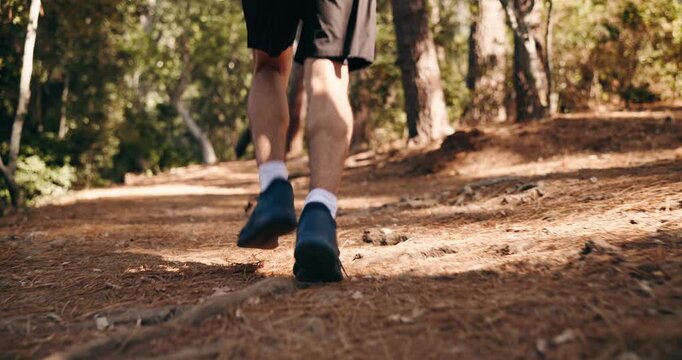 Person, fitness and running with legs in forest for outdoor workout or cardio exercise. Back view, active or runner with sneakers or shoes for sprint, training or physical activity in nature or woods
