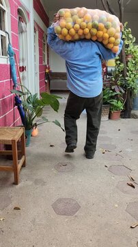Man carrying and placing a heavy sack of oranges in a kitchen