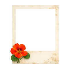Fototapeta premium PNG Vintage floral photo frame