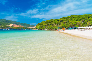 Obraz premium sandy beach by sea in a bay in the tropics with sun umbrellas and sun beds in summer at luxury resort in Asia in Vietnam