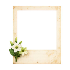 Fototapeta premium PNG Vintage floral photo frame