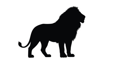 Majestic african lion stands proudly in a dramatic black silhouette © SAKINA