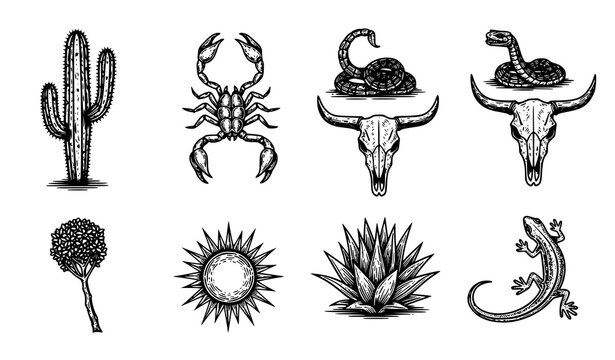 Vintage desert icons vector set in black and white woodcut style with cactus, scorpion, and more