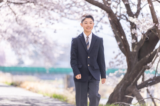 桜並木を歩く制服を着た男子高校生